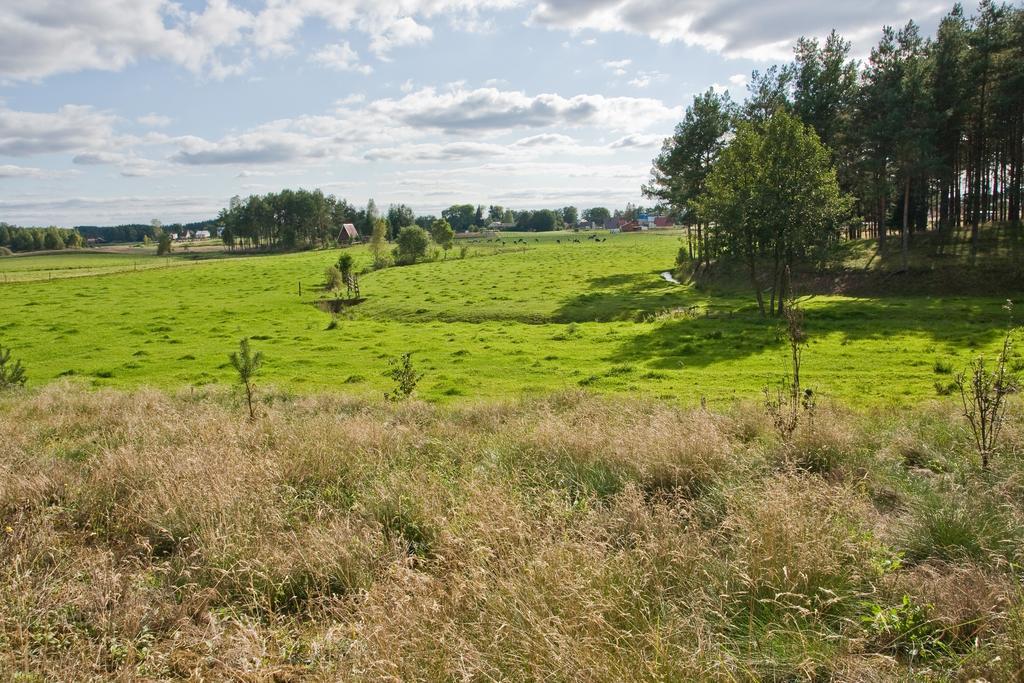 Agroturystyka Sominy Piotr Exterior foto