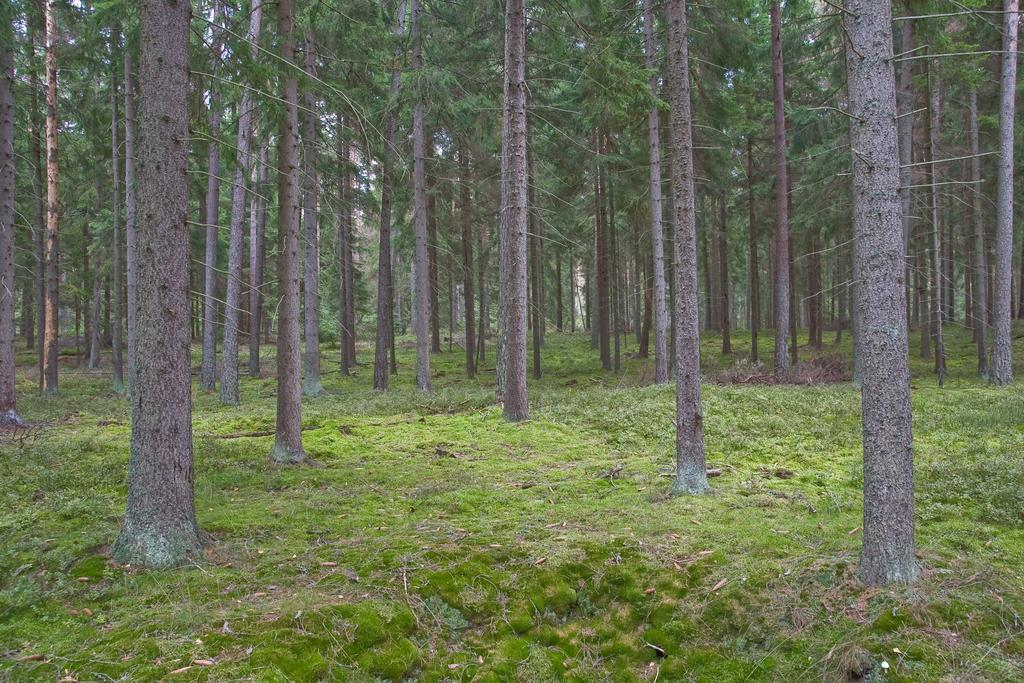 Agroturystyka Sominy Piotr Exterior foto