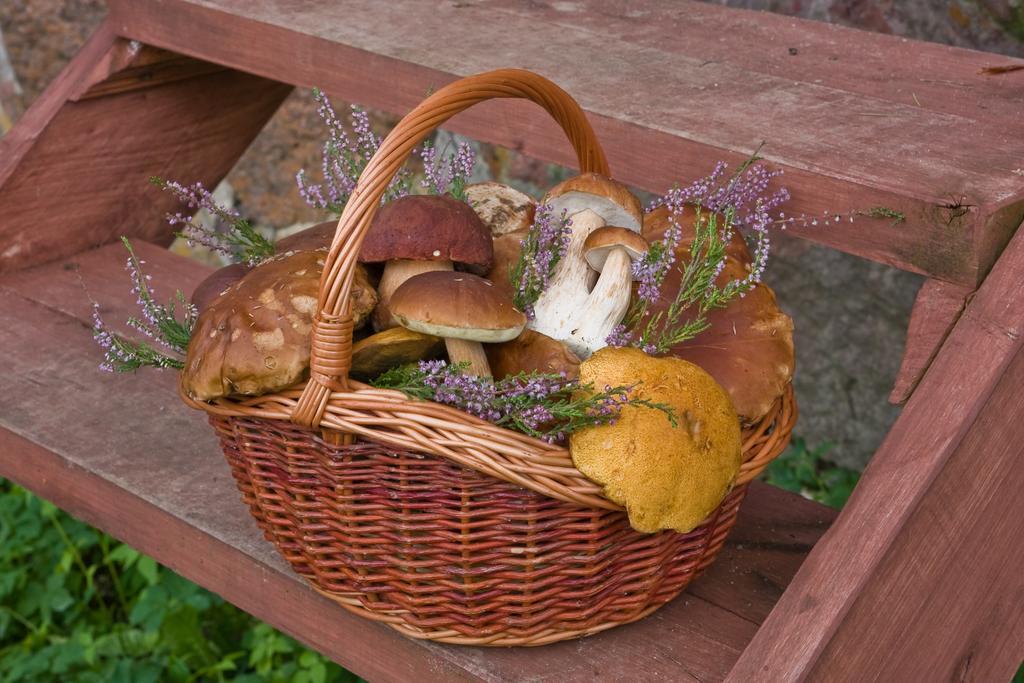 Agroturystyka Sominy Piotr Exterior foto